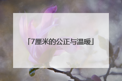 7厘米的公正与温暖